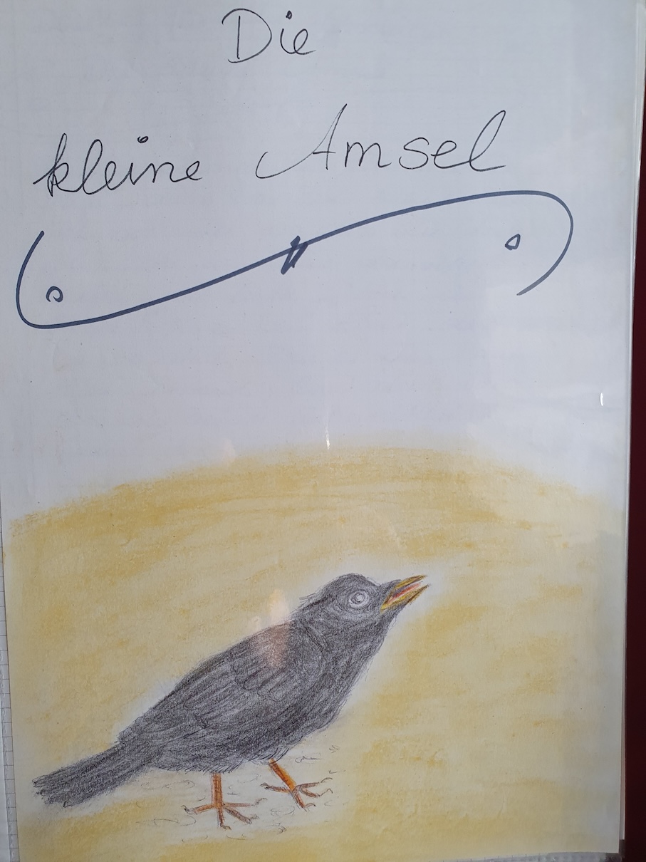 image from Die kleine Amsel