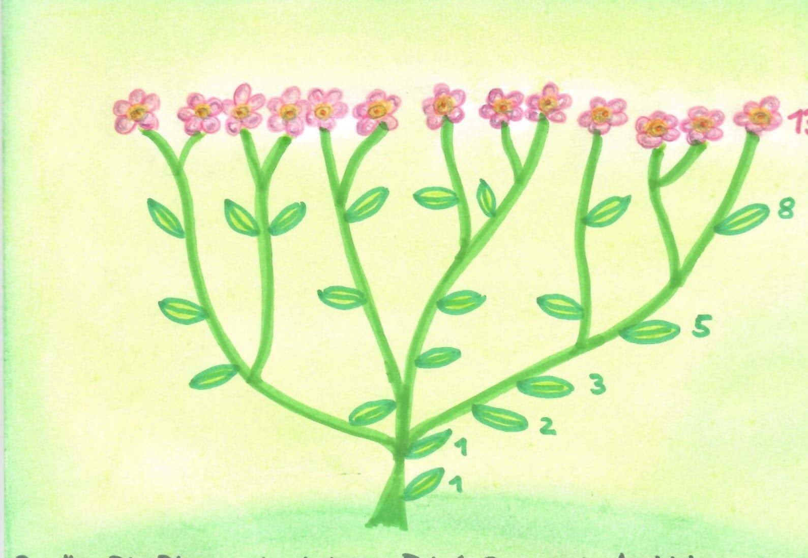 image from Versteckte Geheimnisse in Gottes Natur