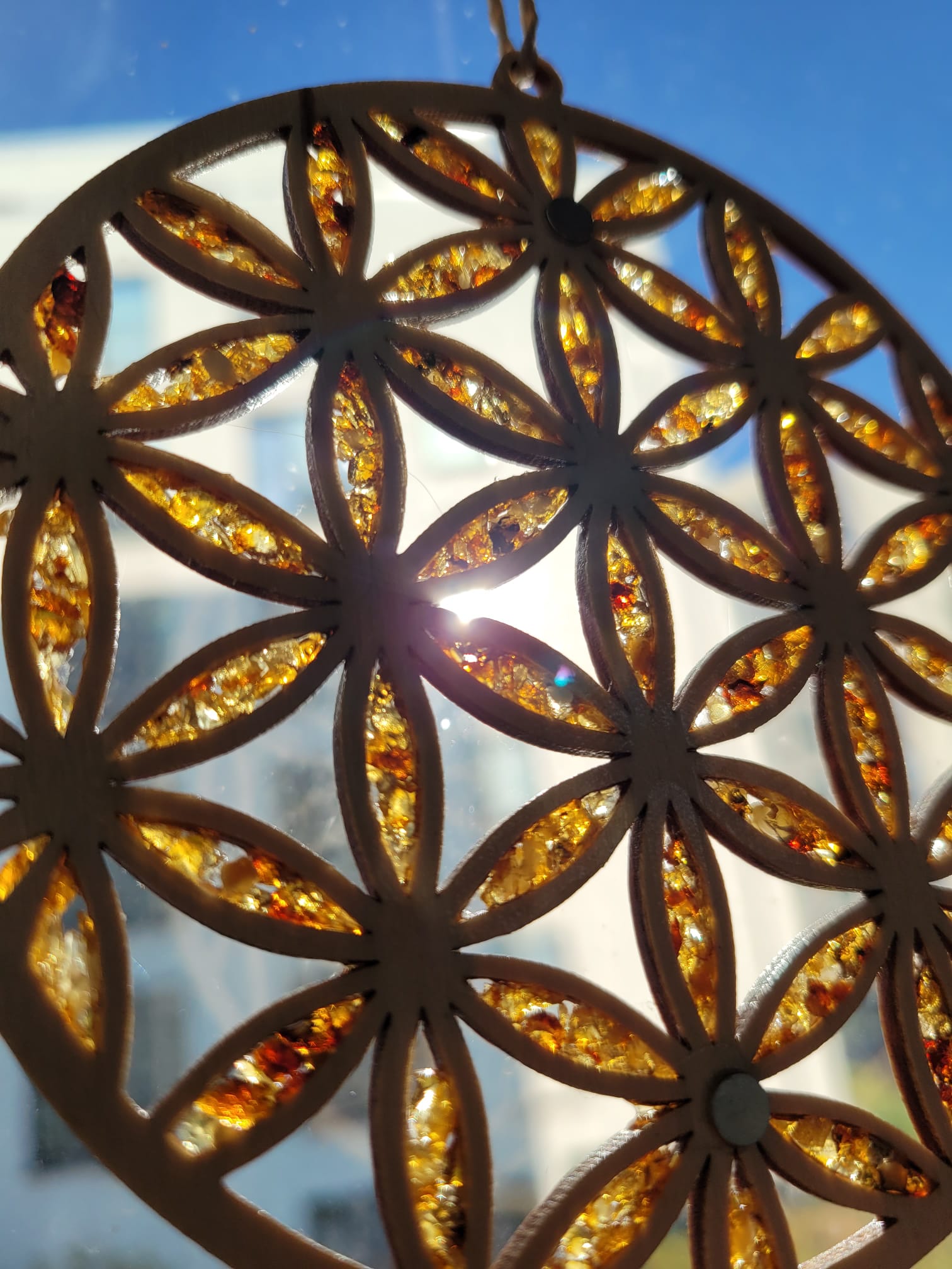 image from Blume des Lebens