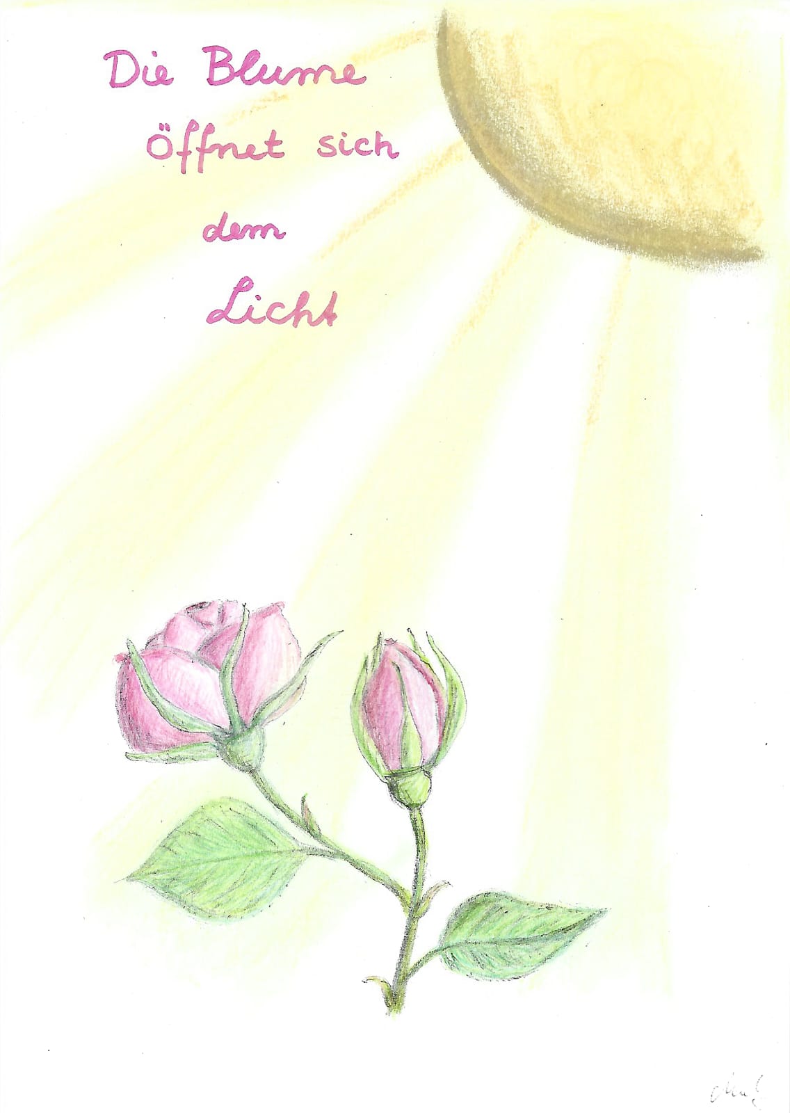 Die Blume öffnet sich dem Licht